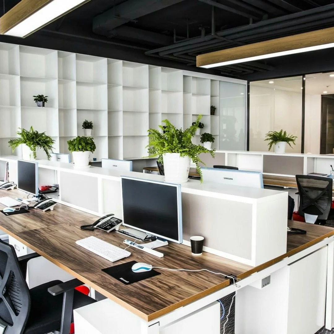 Functional and practical office desks and dividers.